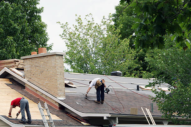 Best Roof Gutter Cleaning  in Gonzales, TX